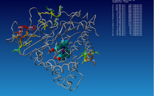 3D-visualisation of natural amino acid distribution